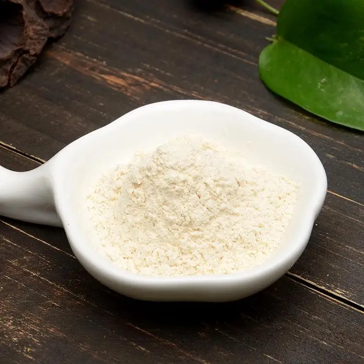 factory supply feed grade ad garlic powder for food