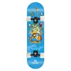 Professional Quality Maple Skateboards Specialized Customized Space Burglars Series