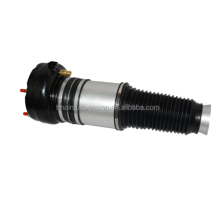 rear air shock.jpg