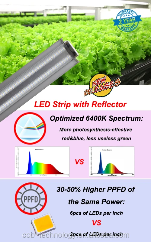 用于城市农业的24英寸24w全光谱白光led生长灯带 超过了现有的市场模式 Buy Led植物灯条 全光谱白光led生长灯 城市农业