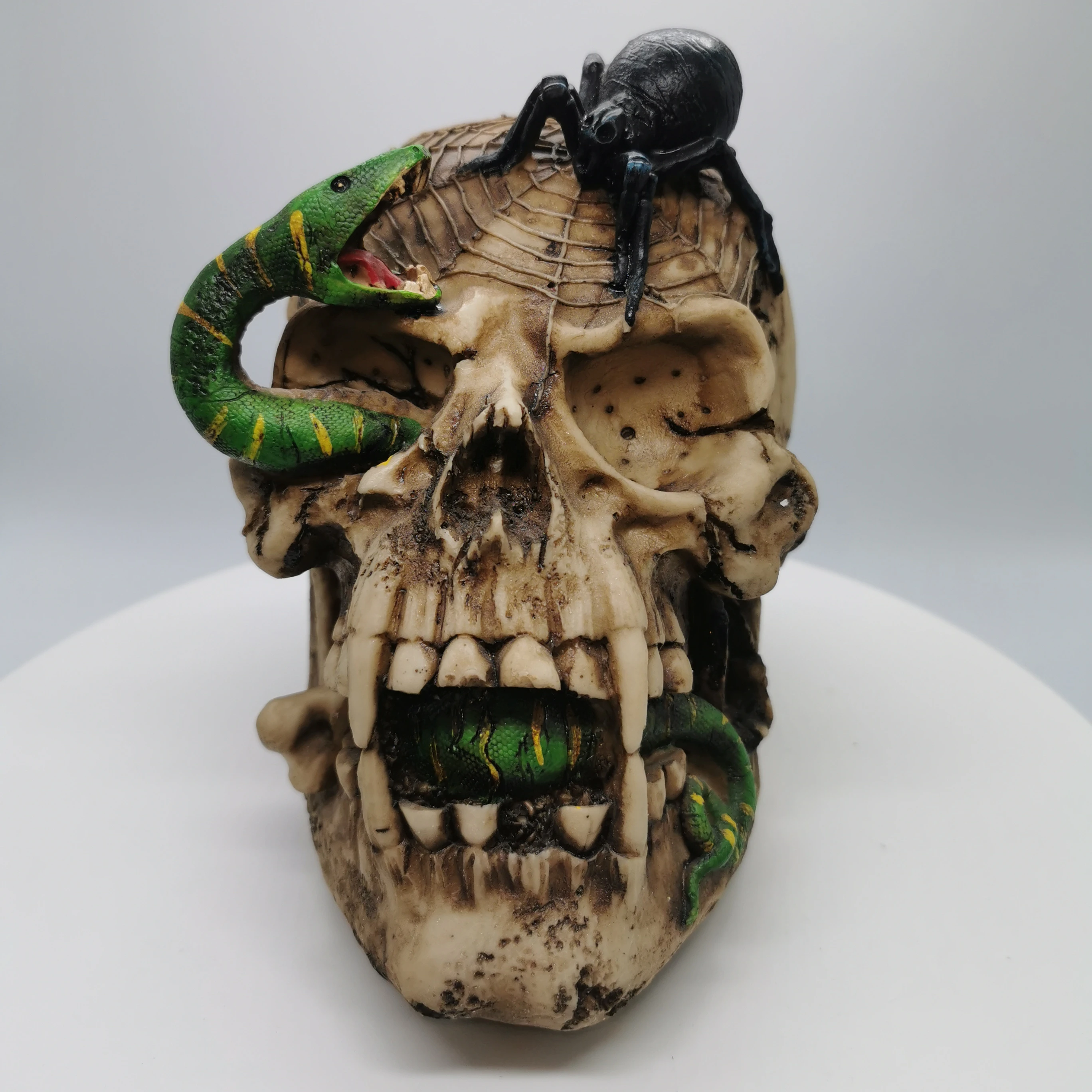 Halloween Skull Human Head Skeleton With Snake And Coins Human Realistic Skull Halloween Scarying Decoration Gothic Statue Designed newest Skull