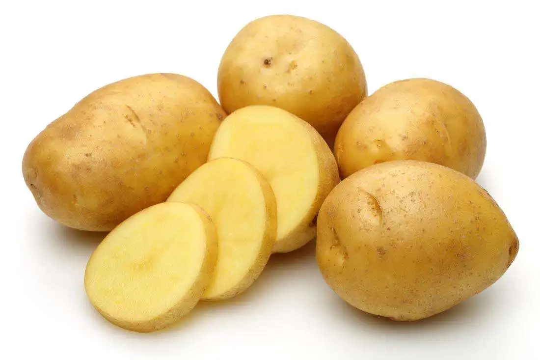 POTATO まとめ売り High Quality Fresh Potatoes - Top Importers in China