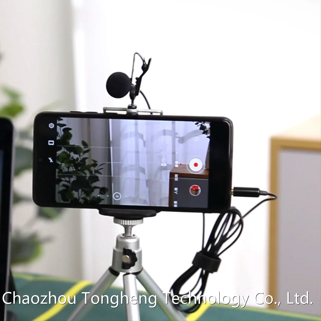 Popular Mini Portable 3.5mm/35mm Wind Muffs Lapel Wired Clip Microphone