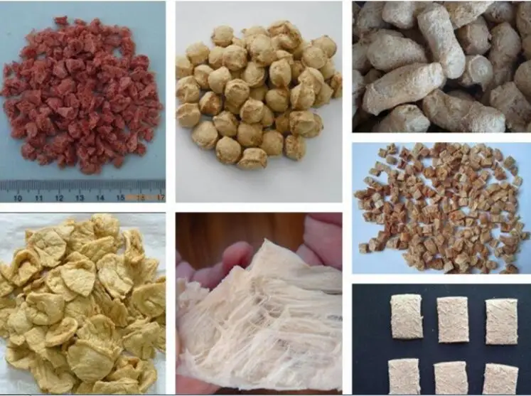 soya meat10-6.jpg