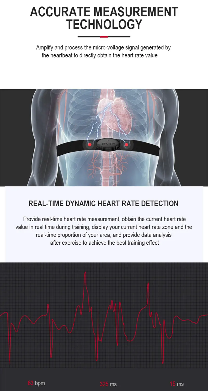 ECG-Monitor-2