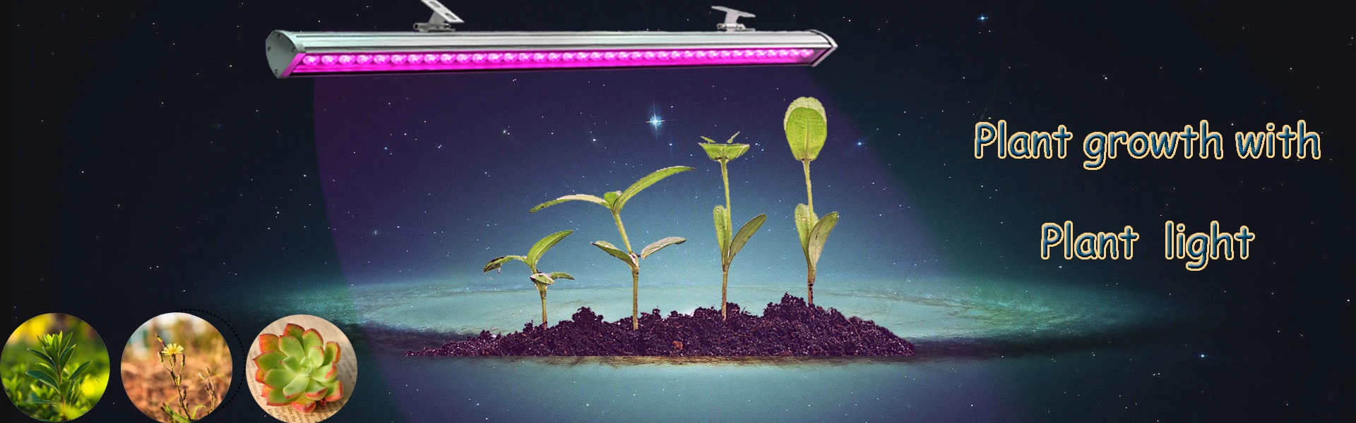 Manufacturer Full Spectrum Waterproof LED Grow Light Lamp 18W 24W 36W Growing Led Light For Plant Growth