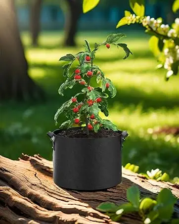 A-ONE Recyclable Durable Eco-friendly Sustainable Non-Woven Fabric Lined 2-3mm Thick Garden Felt Reusable Grow Bags 1-100 supplier