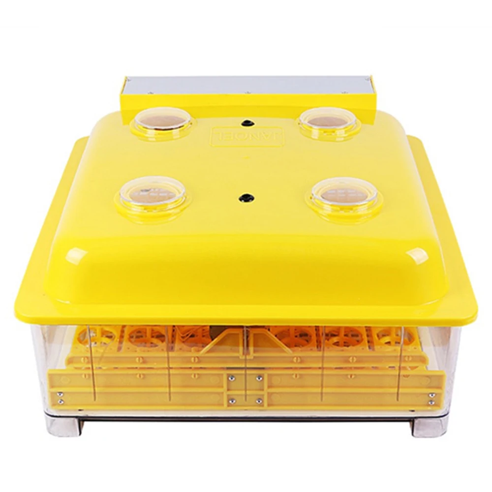 quail egg incubator