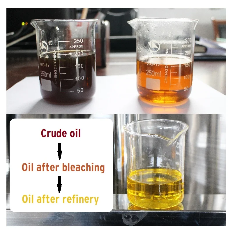 New Design Palm Oil Processing Machine Mini Oil Refinery Machine Crude Palm Oil Refining Machine details