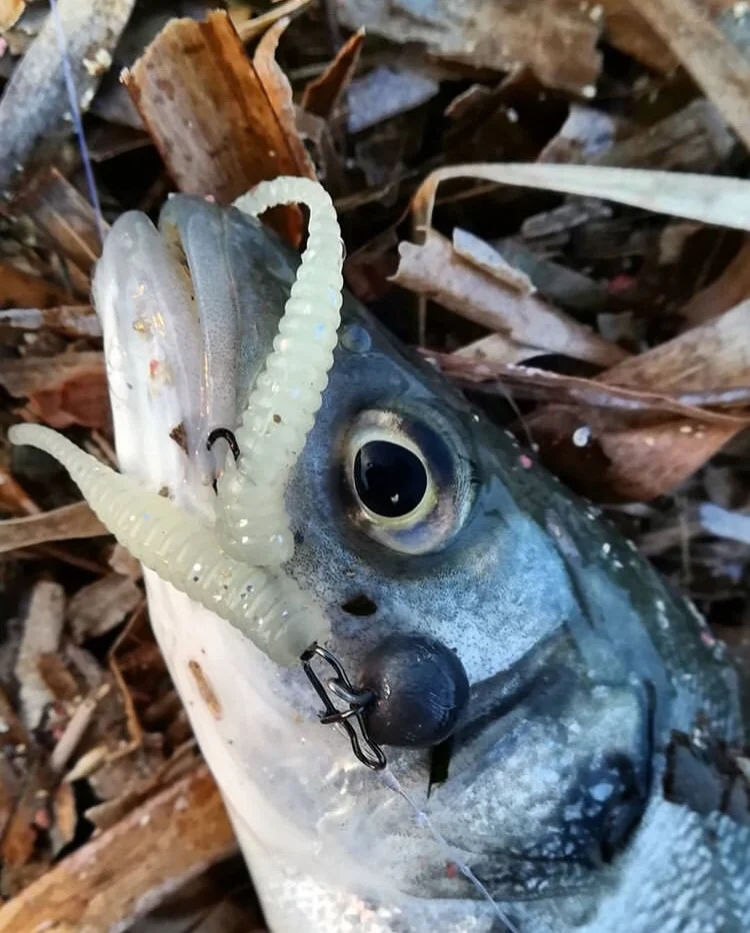 soft root fishing lure (2).PNG