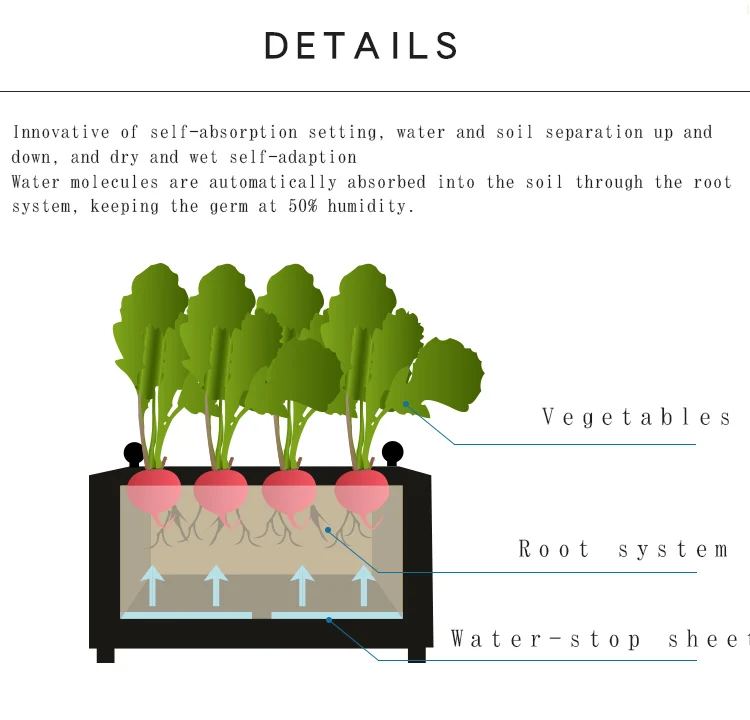 Bed Plant box (9).jpg