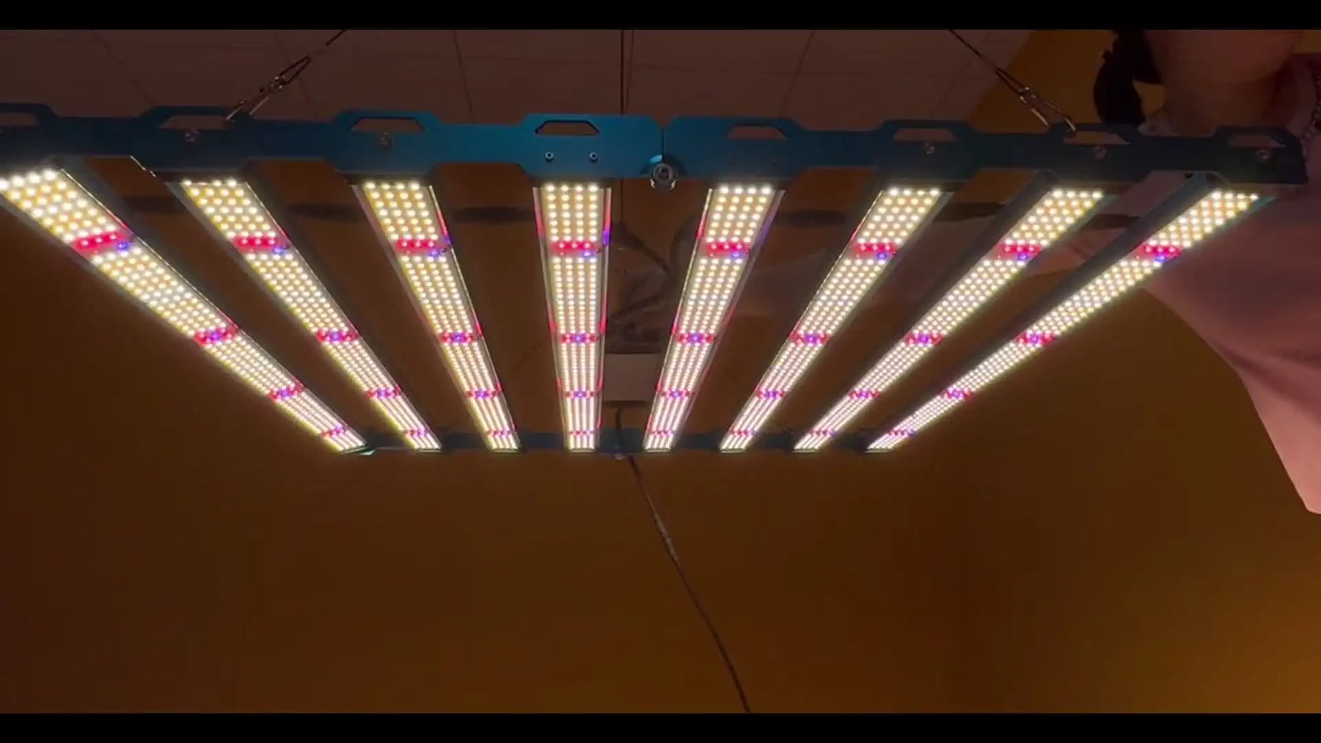 Kingbrite P55 650W/800W LED Grow Light Bar with Samsung LM301H EVO