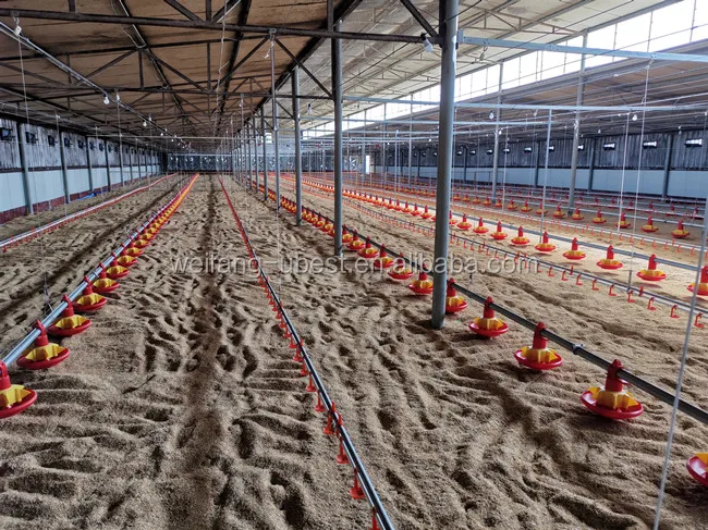 chicken broiler equipment