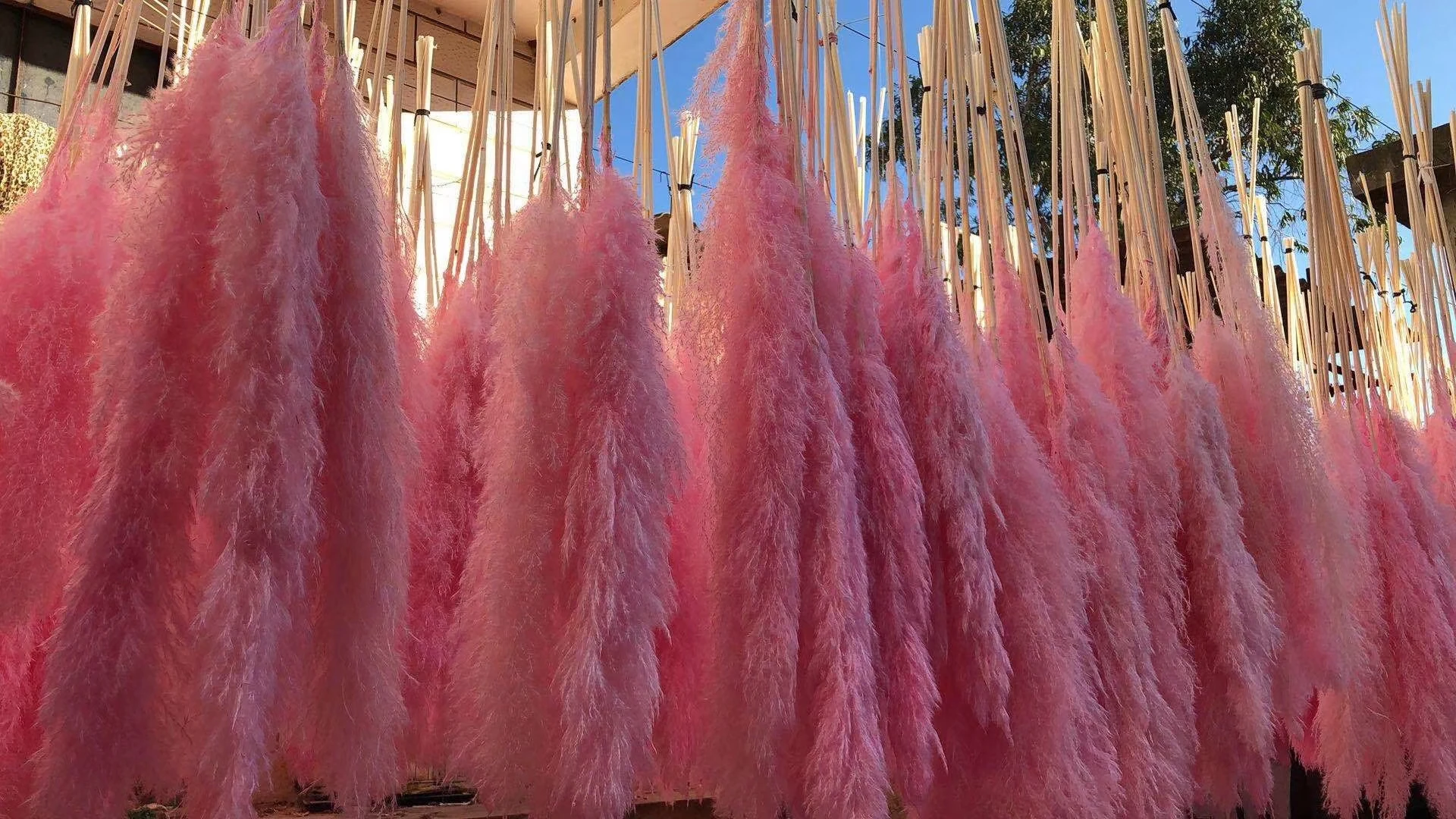 80cm Length Wedding Artificial Pampas Natural Dried Decorative Pampas