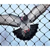 knotted 50x50mm Bird Net for catch canary bird