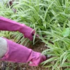 HANDLANDY pink long cuff cowhide rose work gardening gloves Leather Hand Gloves