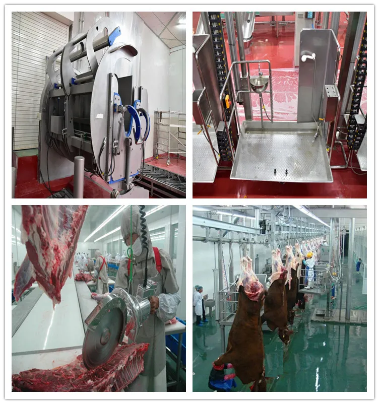 Kosher meat processing line with slaughtering equipment machine in cattle slaughterhouse