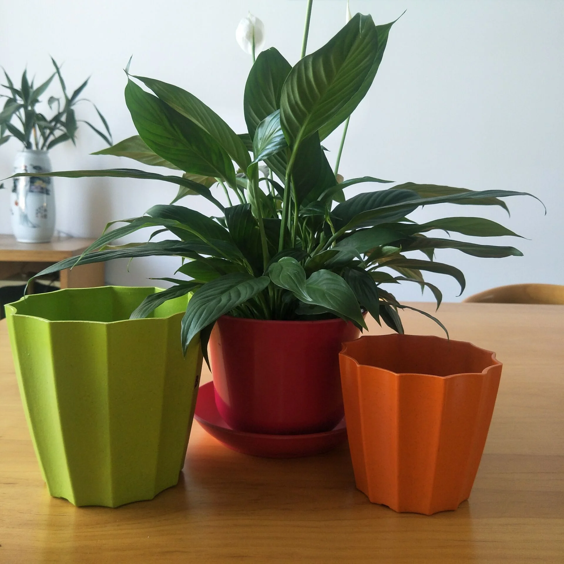 Venta al por mayor escaleras para macetas-Compre online los mejores