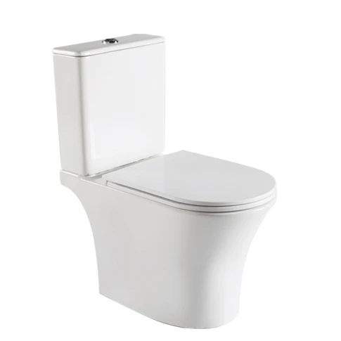 Household Bathrooms White Toilet Dual Flush One Piece Toilet MJ-2801