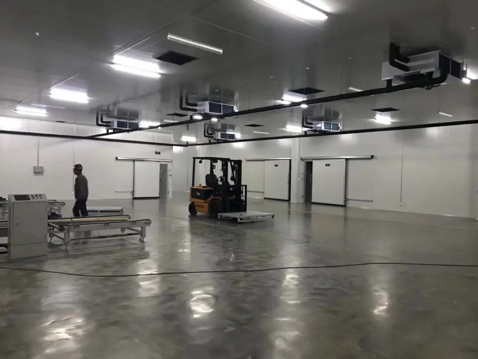 cold storage freezing chamber