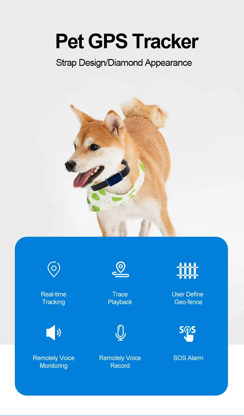 Best Pets Tracker Gp06 Waterproof 2g Gsm Gprs Wifi Para Perros