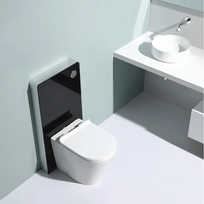 Hanging Toilet Dual Flush Concealed Cistern Wall Hung Toilet Tanks Wall