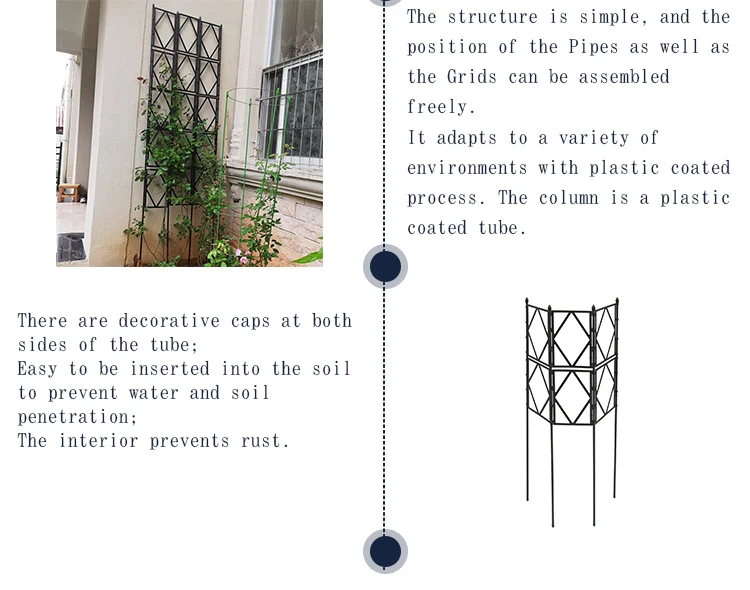 Rose Trellis (6).jpg