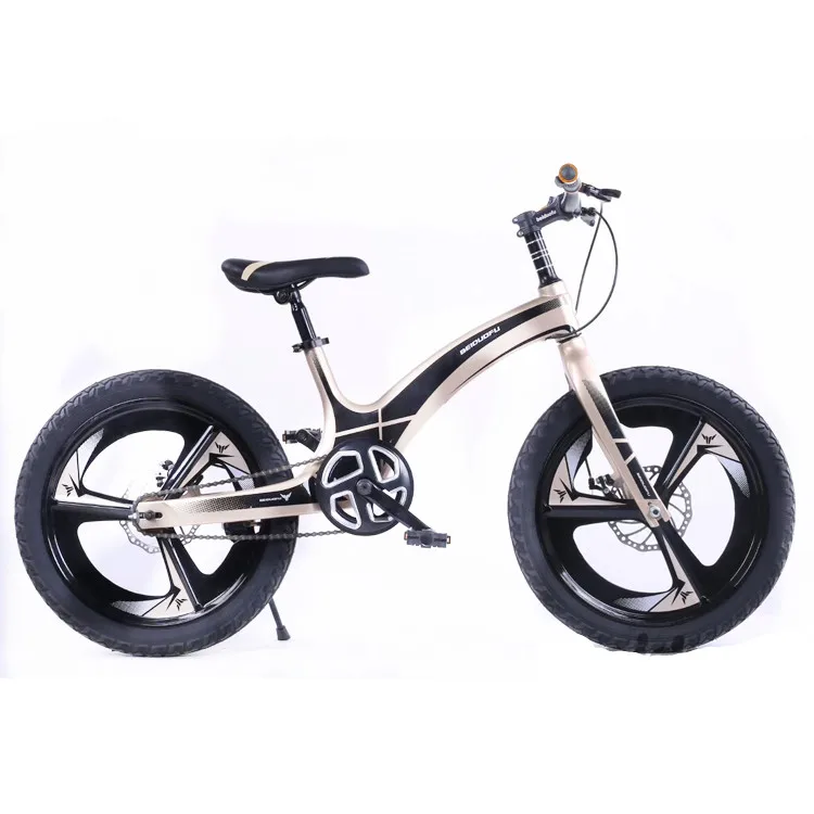 18 inch cycle
