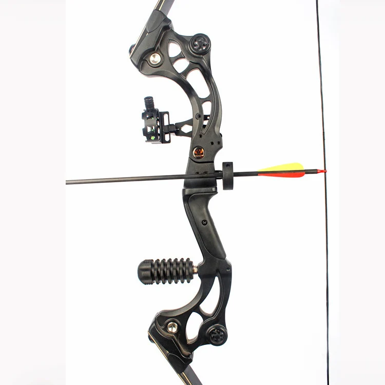 Professional American Hunting Bow Set 50lbs Draw Weight Archery Arrow