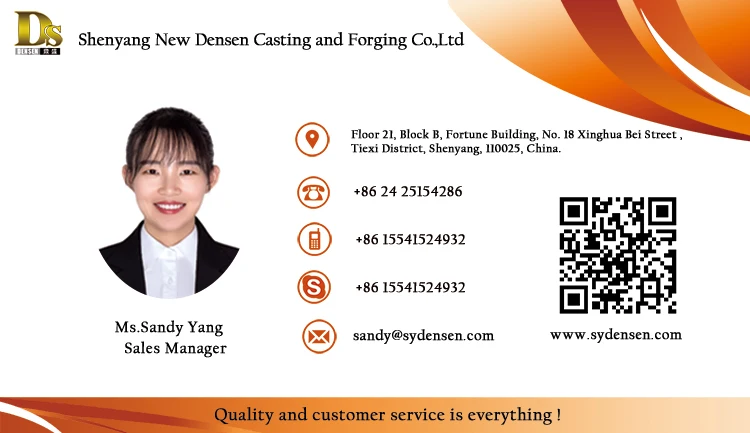 Sandy Yang at New Densen.jpg
