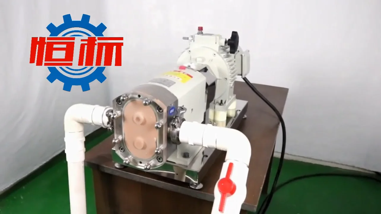 Stainless Steel Sanitary Food Grade Liquid Transfer Pump Ideal for Chocolate/Yoghurt Processing