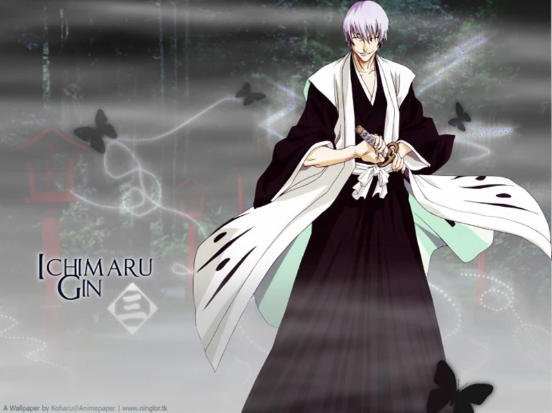 Featured image of post Gin Ichimaru Sword His lieutenant was izuru kira