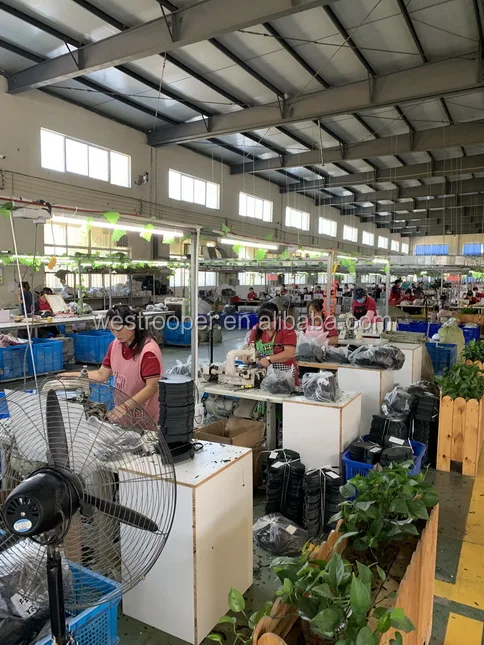 2019-09-23 112551_.jpg