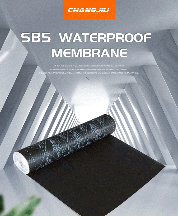SBS(3)_01.jpg