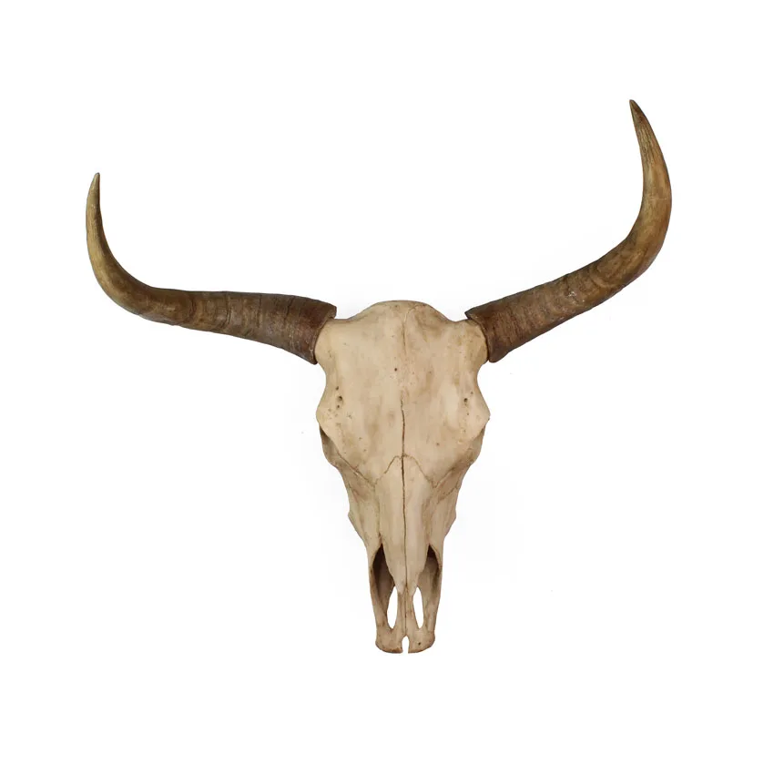 Wholesale artificial resin cow head statue animal ornaments home wall decoration details