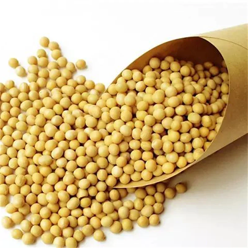 Gmo Dried Soy Soybeans Buy Soybean Sack