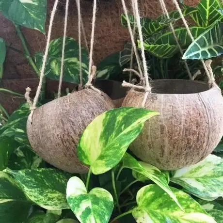 flower coconut bowls.jpg
