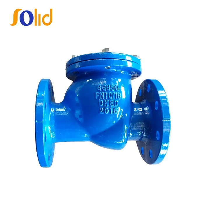 DIN standard Ductile Iron Flanged End Swing Check Valve.jpg