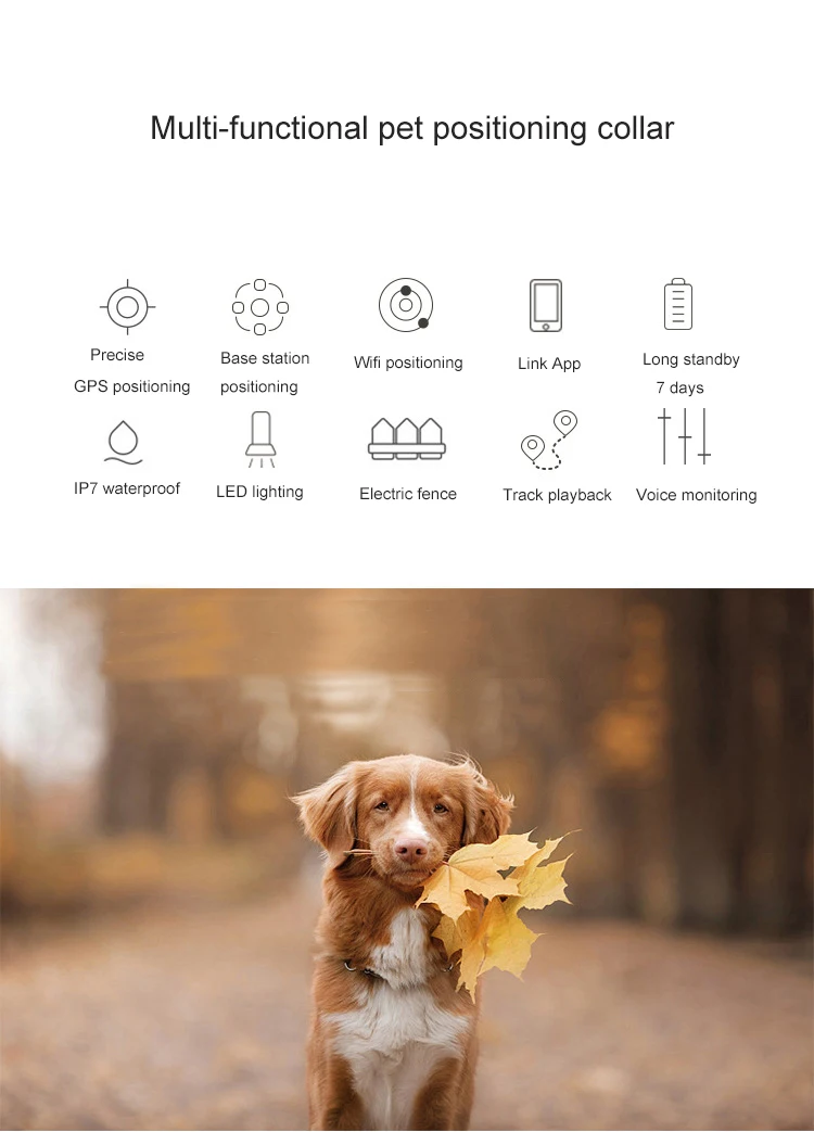 c GPS Dog Collar.jpg