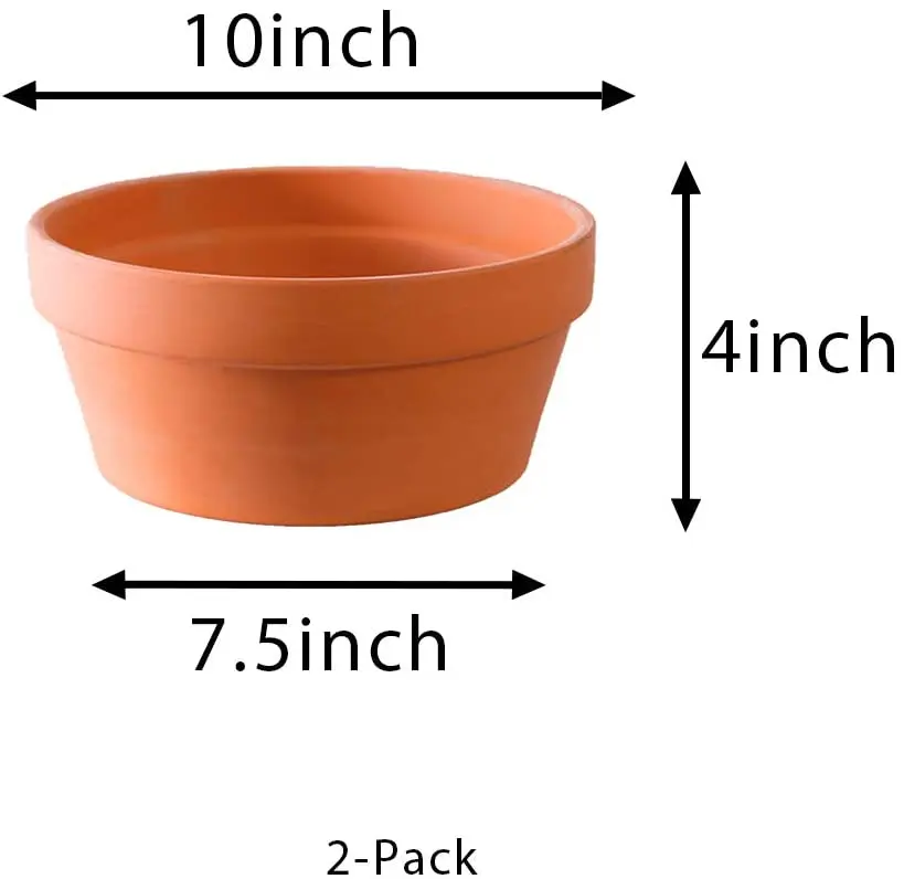 6 Inch Terracotta Shallow Succulent Pot - 2 Pack Terra Cotta Clay Pots ...