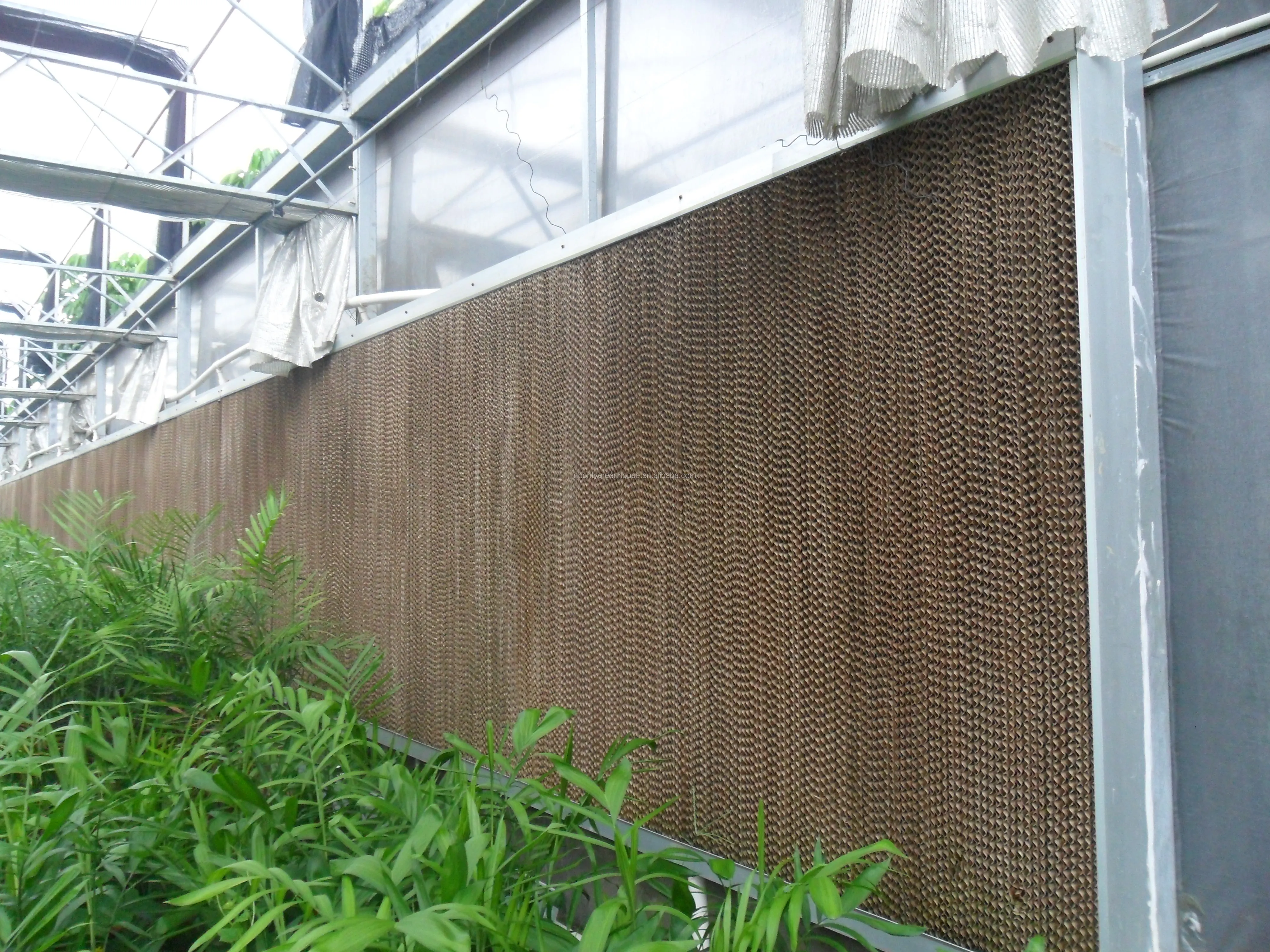 greenhouse farm