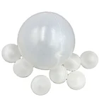 19mm Professional Manufacturer for Polypropylene Hollow Balls in China