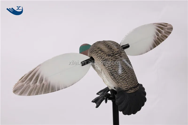 green wing teal (2).jpg
