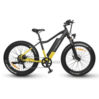 fat electric bike for sale