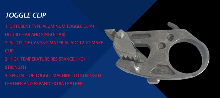 TOOGLE clip.jpg