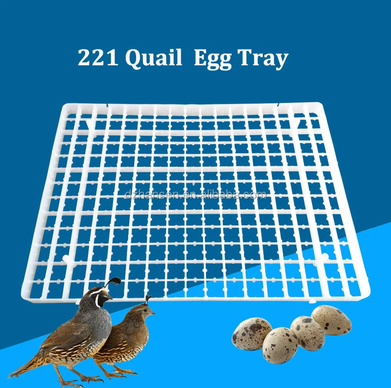 221 Plastic Quail Egg Tray For Incubator Plastic Professional Incubator