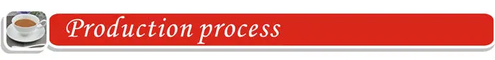 production process