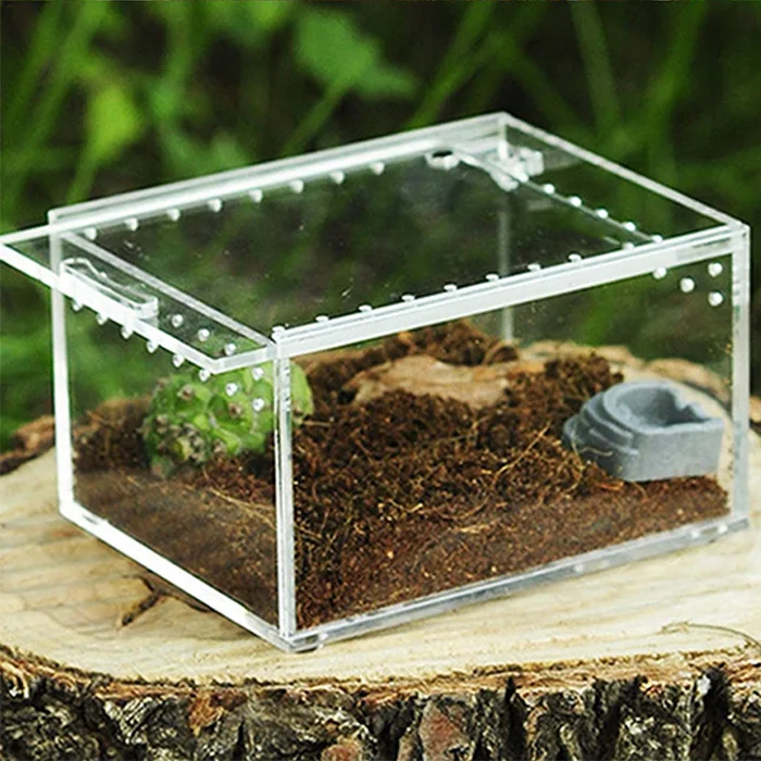 Acrylic Reptile Feeding Box With Sliding Lid Acrylic Feeding Insect ...