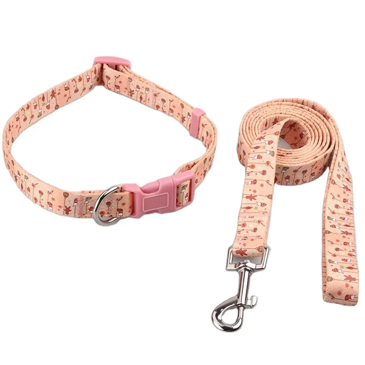 Dog collar leashes-18