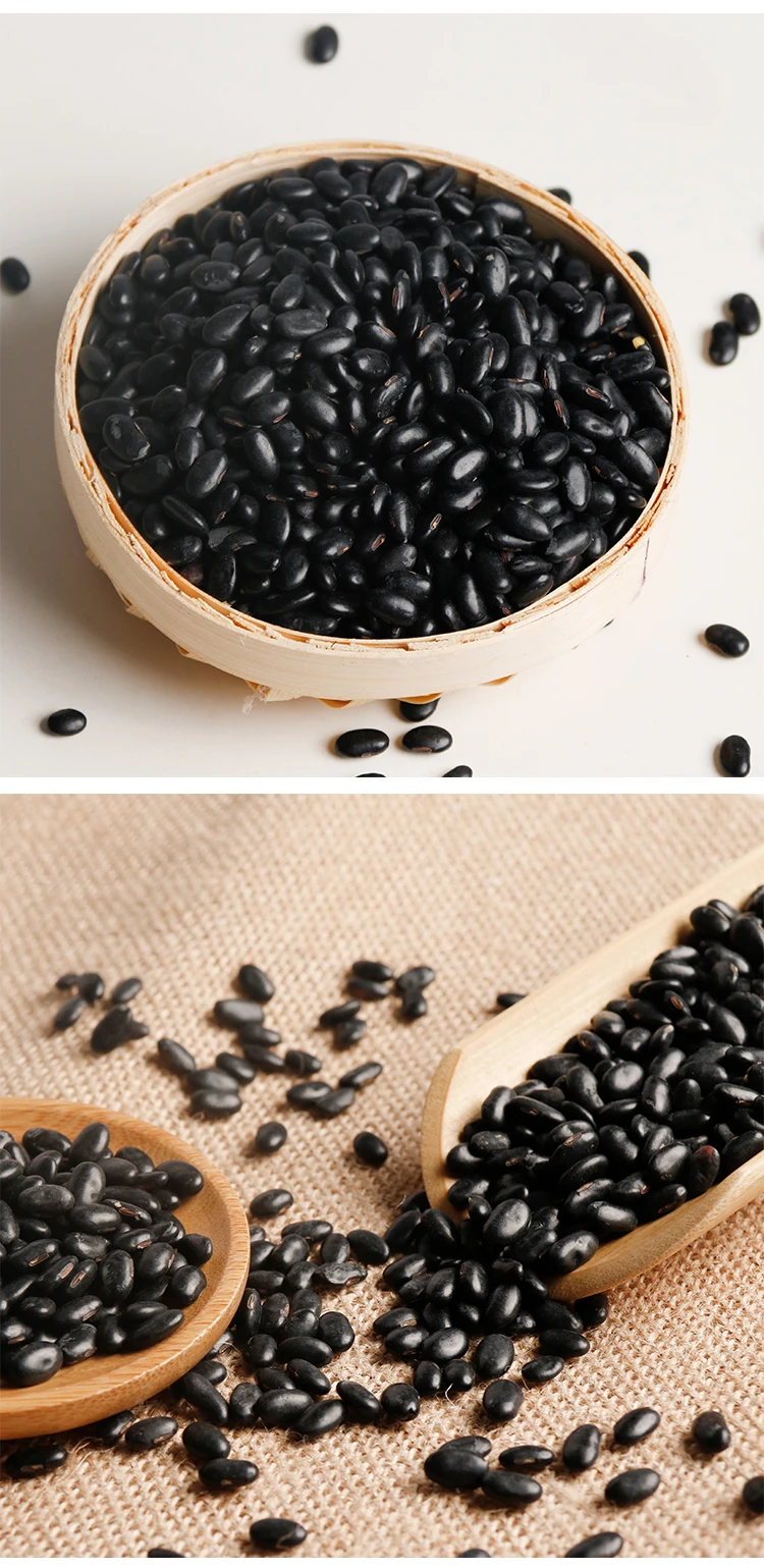 High Quality Big Dried Organic Black Beans wholesale With Yellow Core